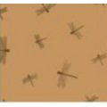 Dragon Flies Double Ream Designer Tissue Paper